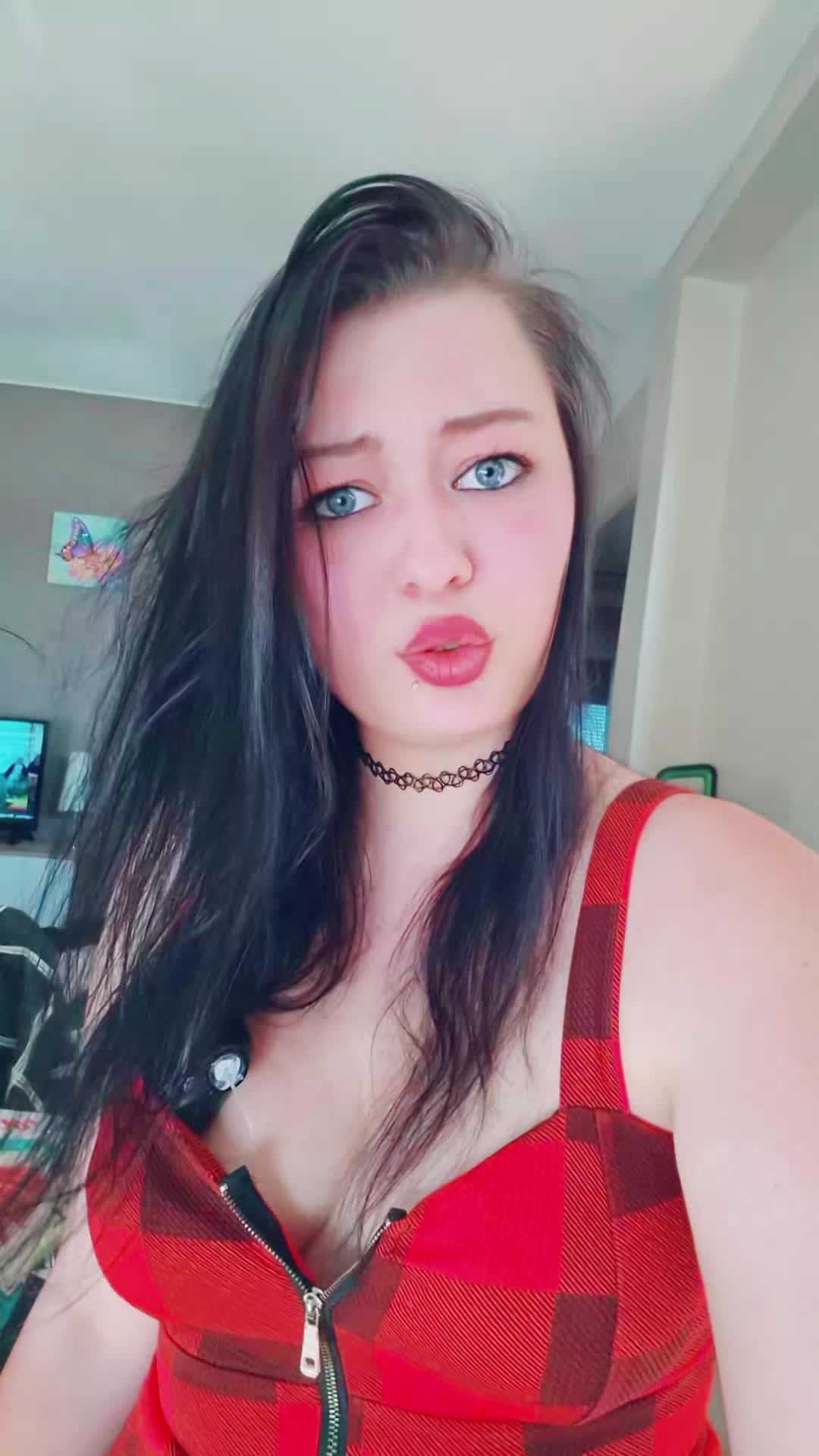 @bvb_spam