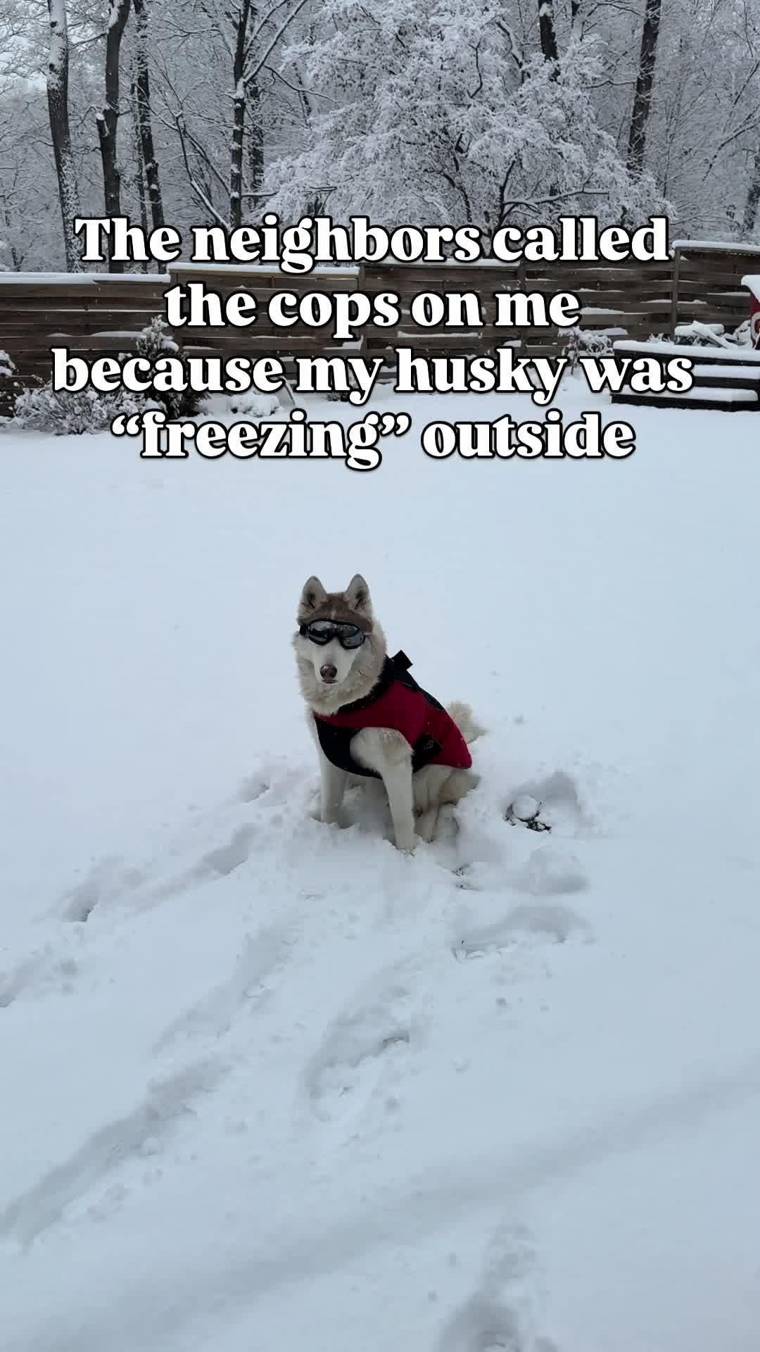 @freezinghusky