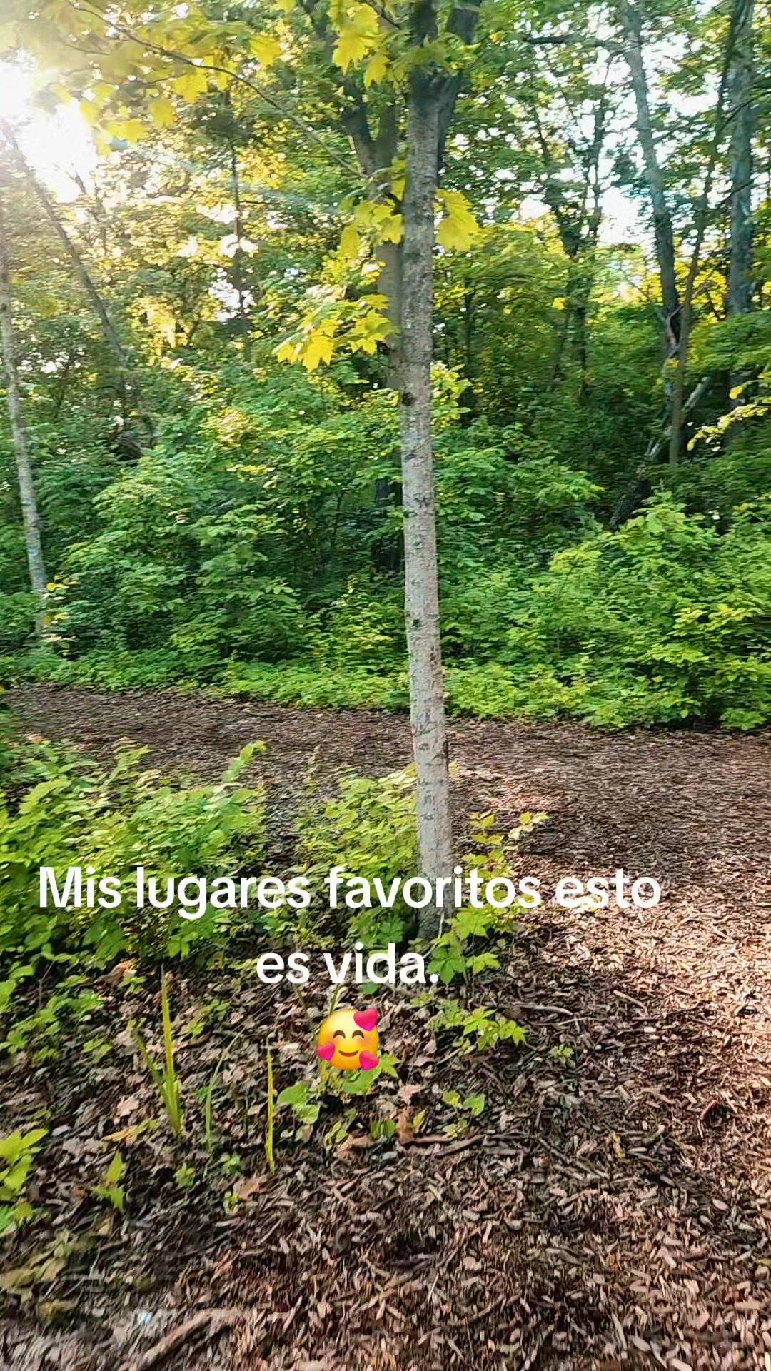 @🌵🌵Lupis 🇲🇽