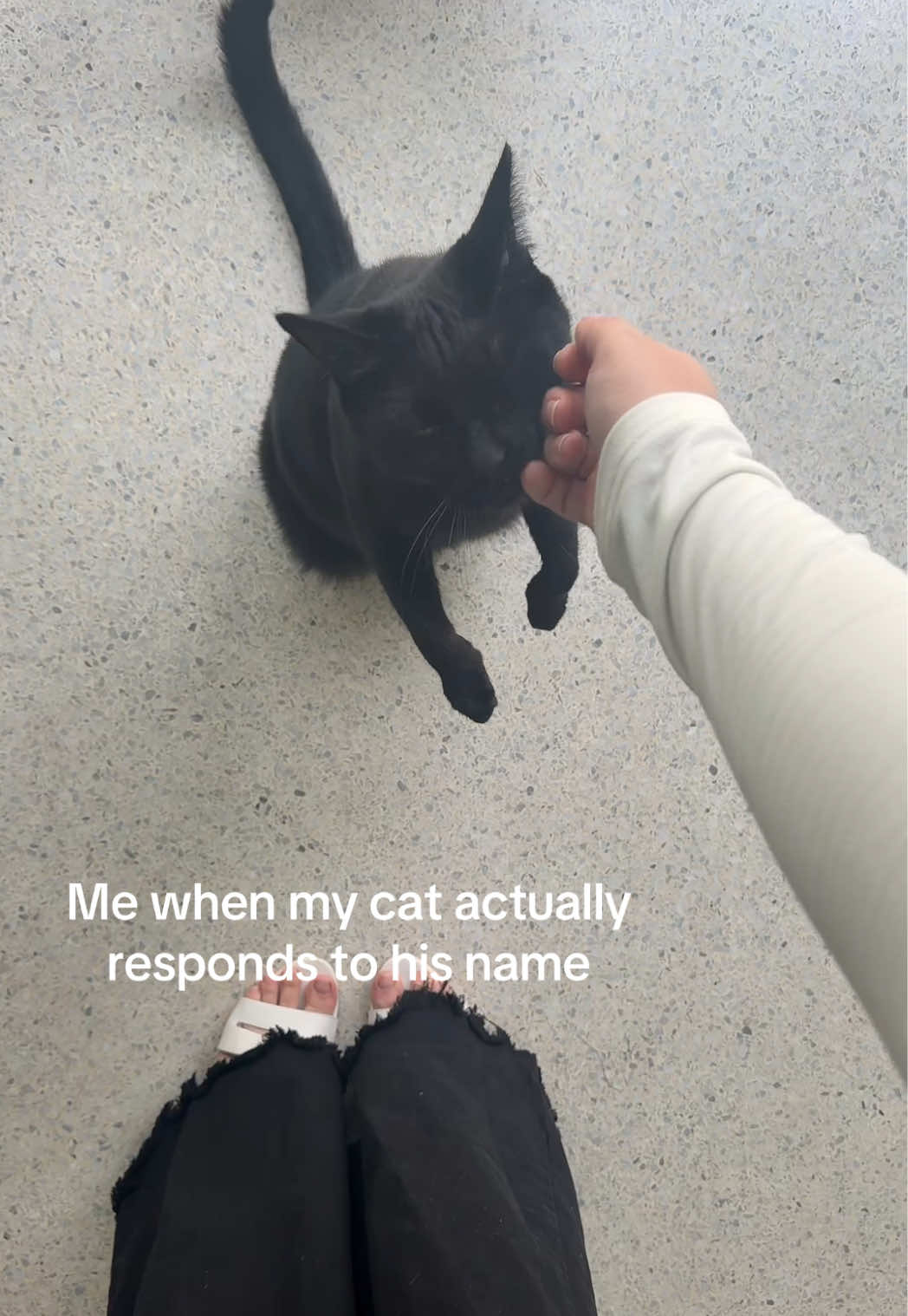 @cswizzl