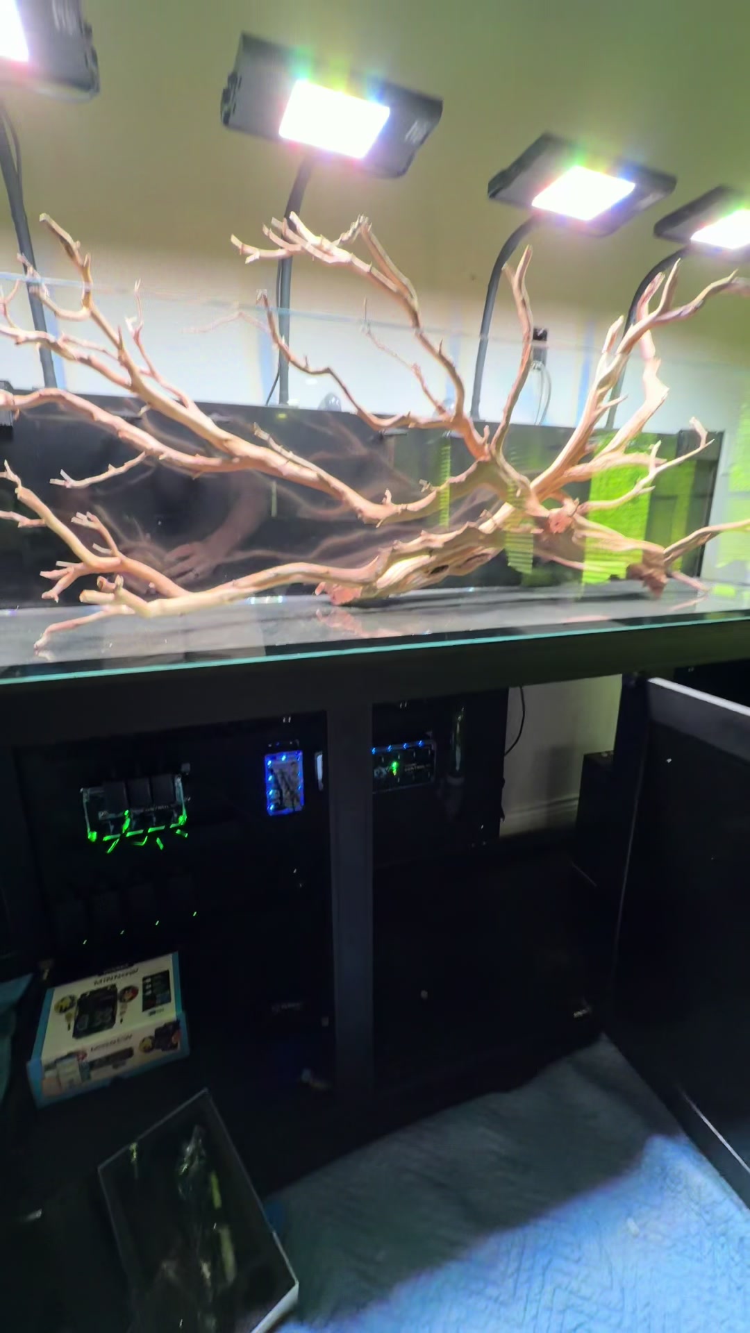 @aquarium_maintenance