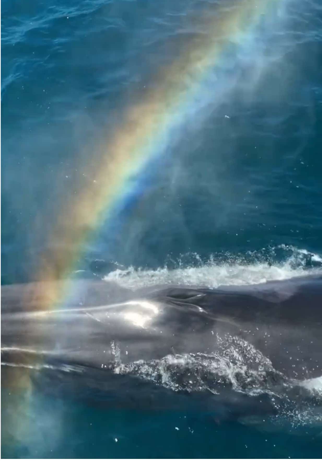@TheOceanTourist
