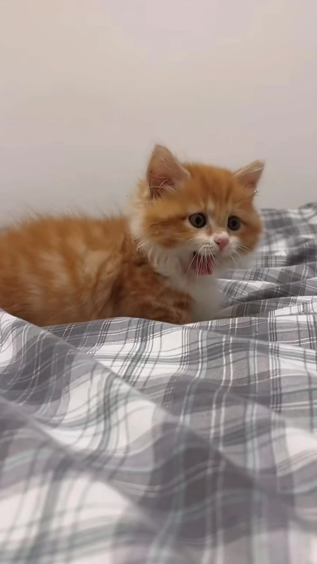 @My Daily Dose of Aww
