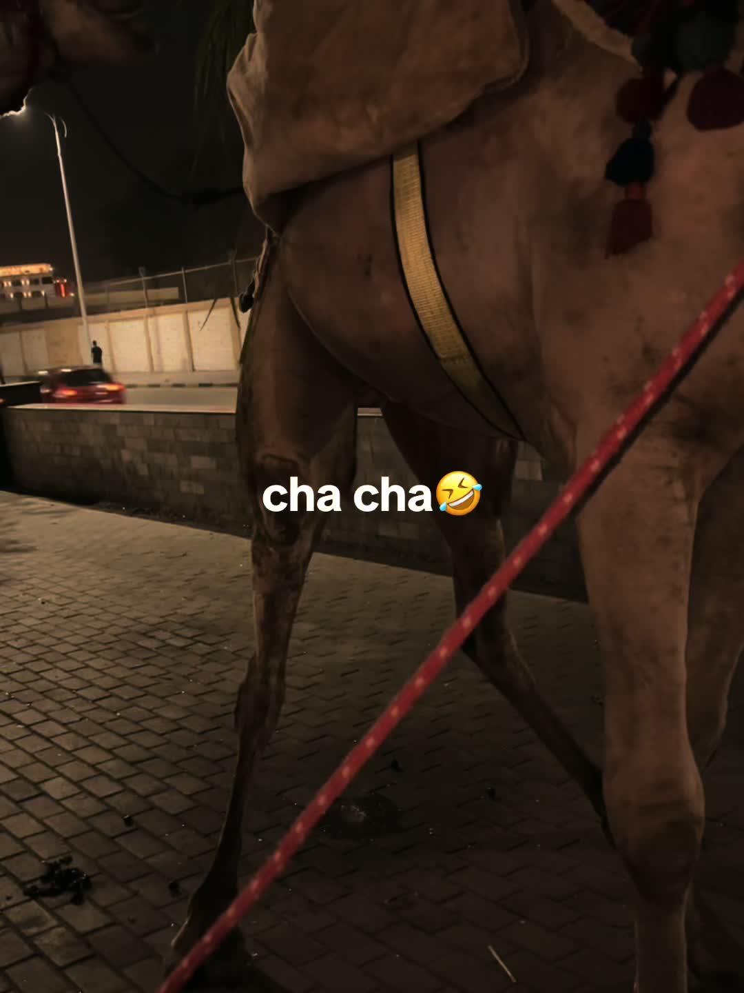 @Aisha Abdullah
