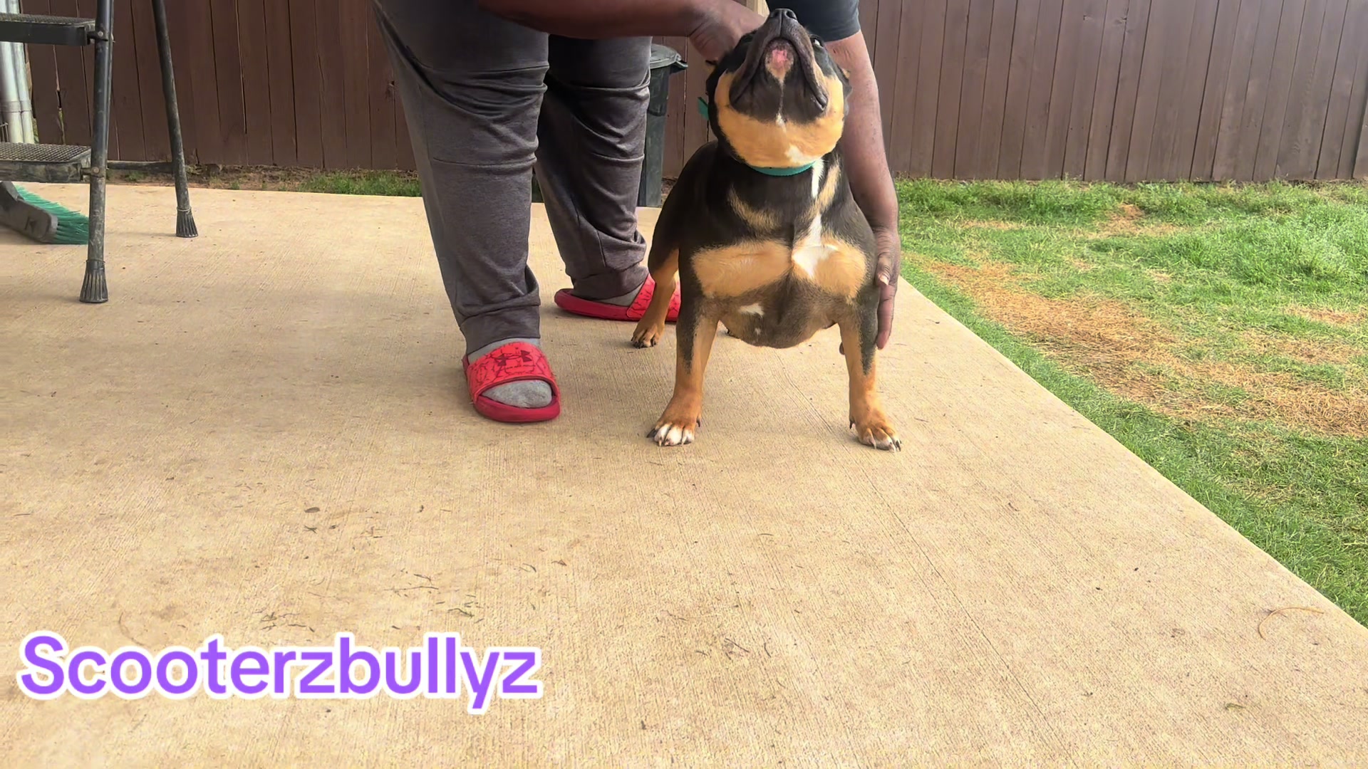 @Scooterzbullyz LLC