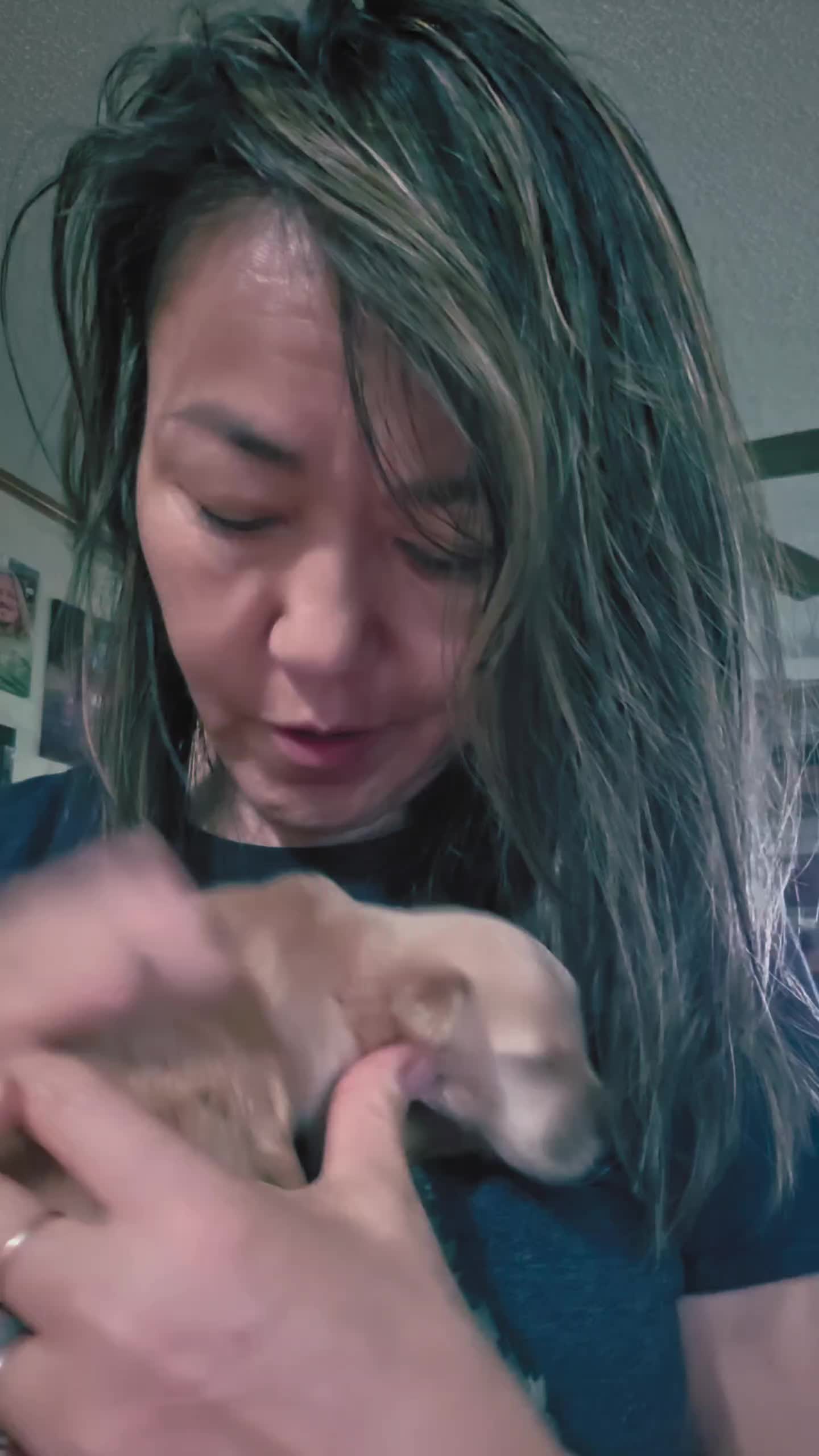 @Little Bit Wildlife Rescue