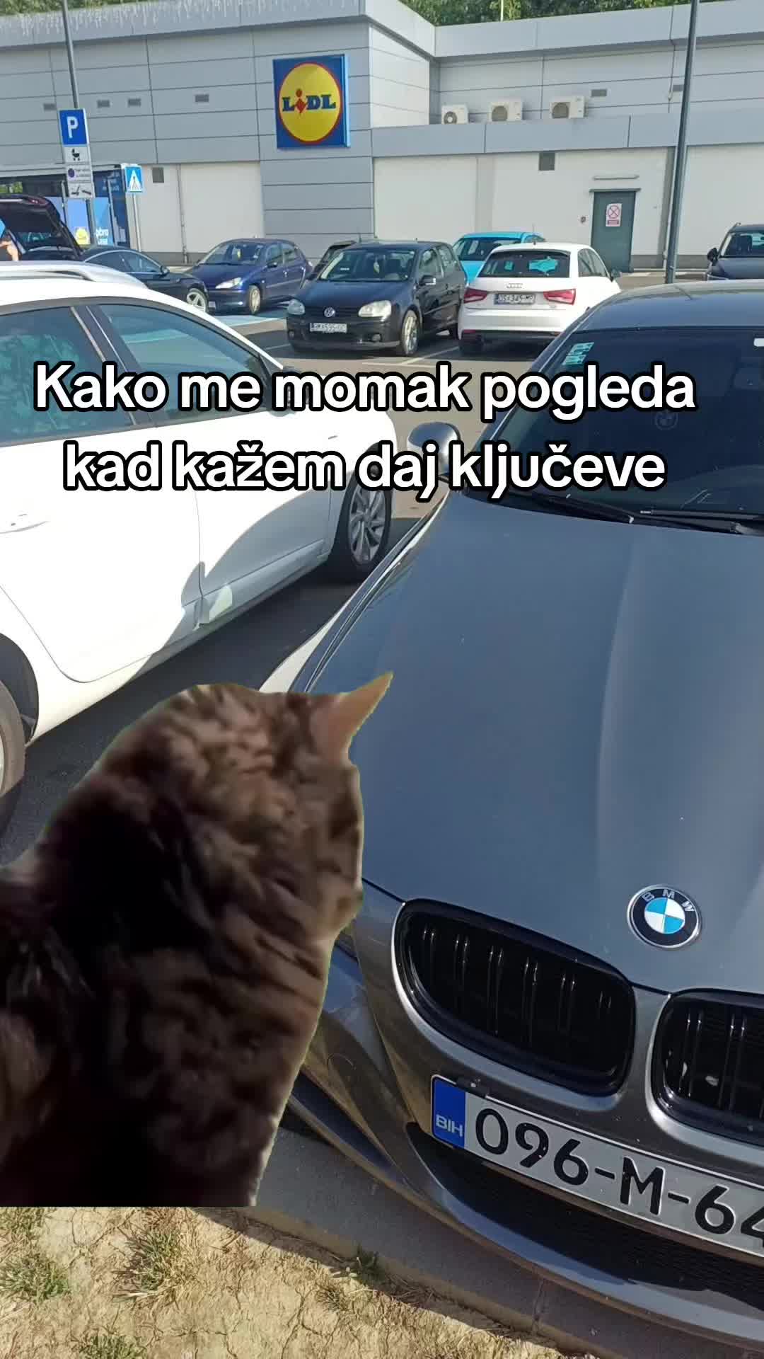 @melka