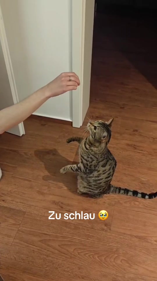 @Mirjam