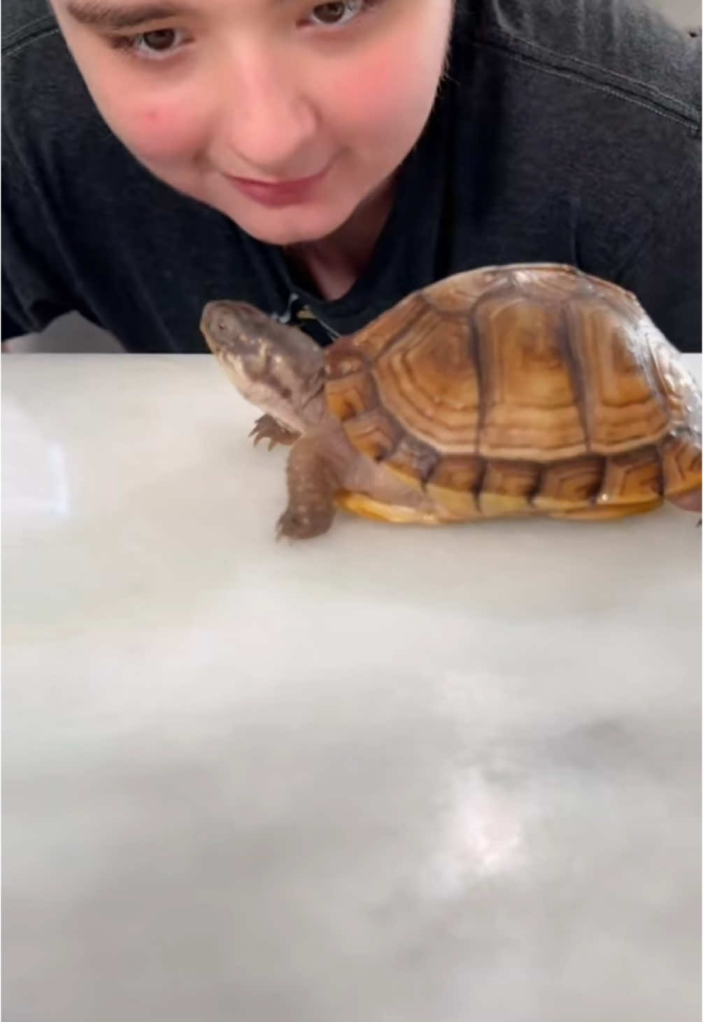@Jax’s Reptiles!