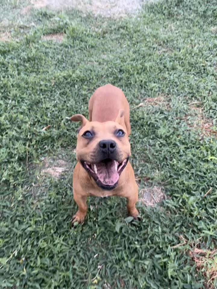 @Joker_pit8