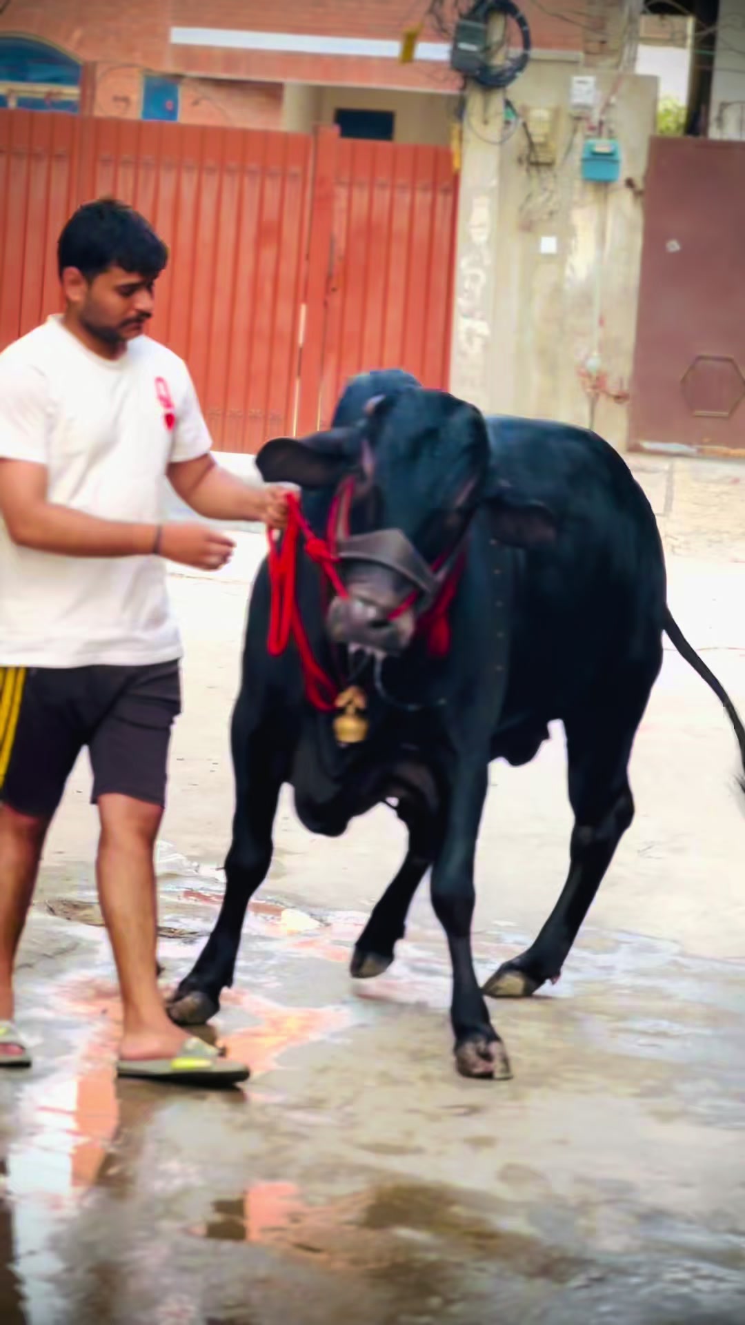 @ch_haris_sandhu