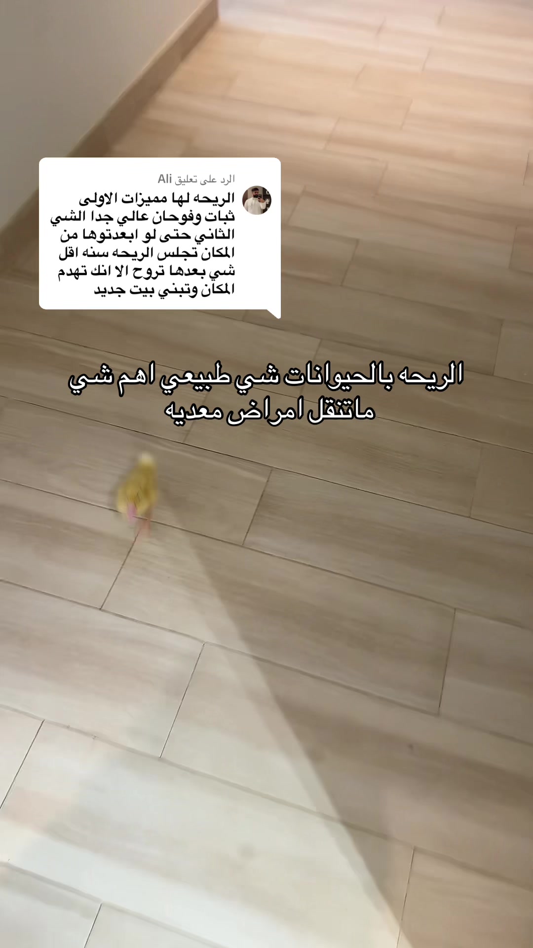 @رزان محمدعبده🪕