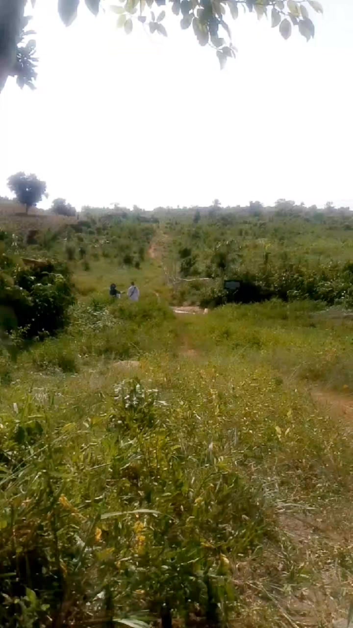 @oluwabukola