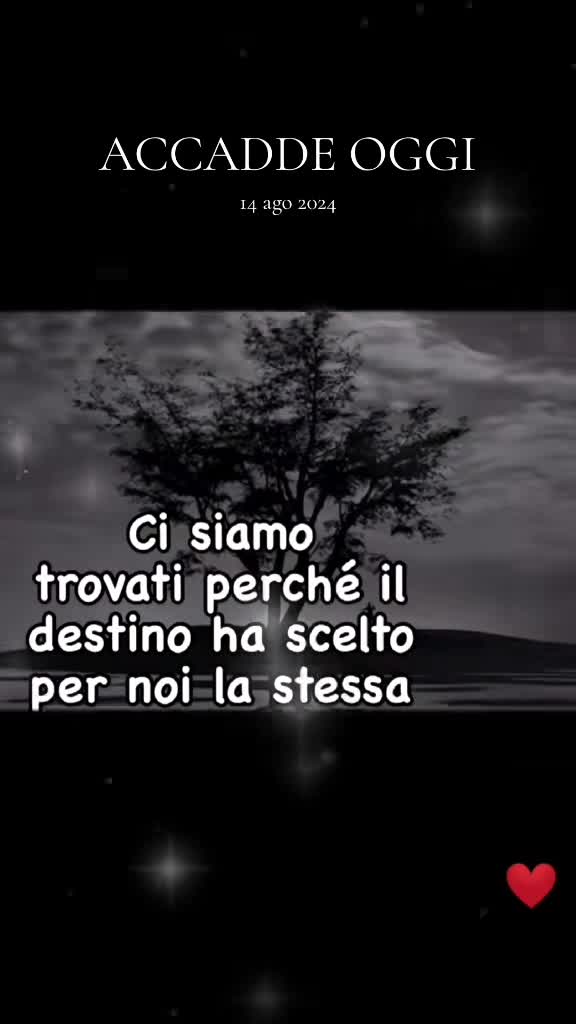 @SofiaSalvatore💖
