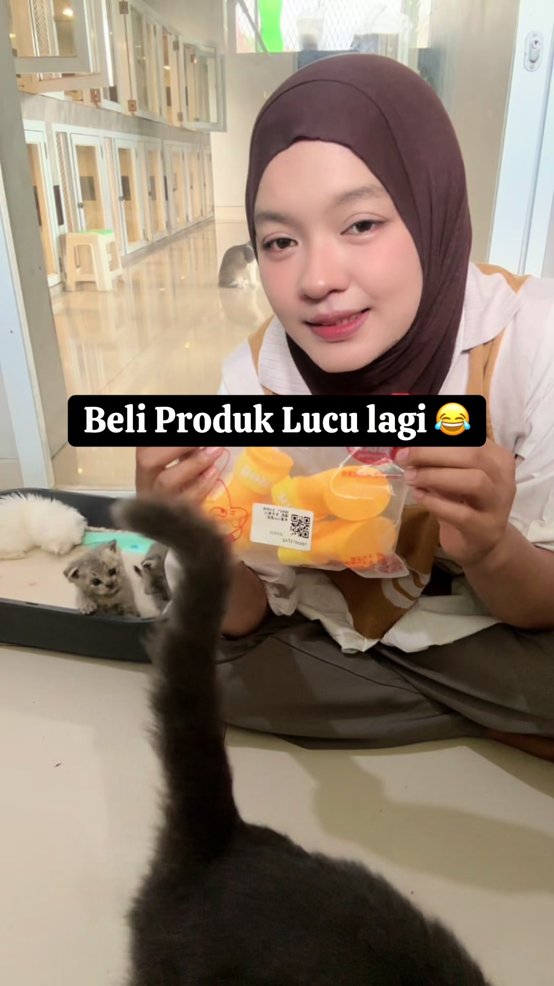 @FaenCattery