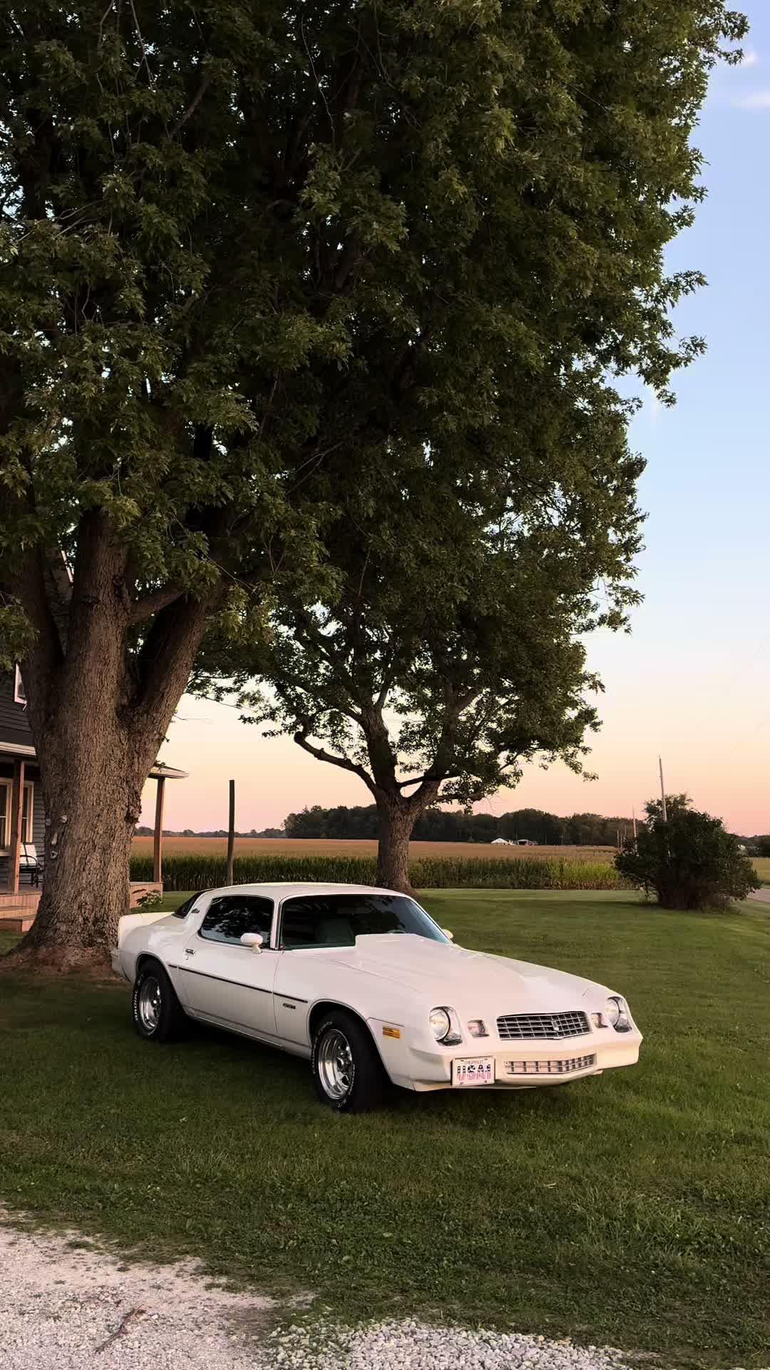 @79_Camaro