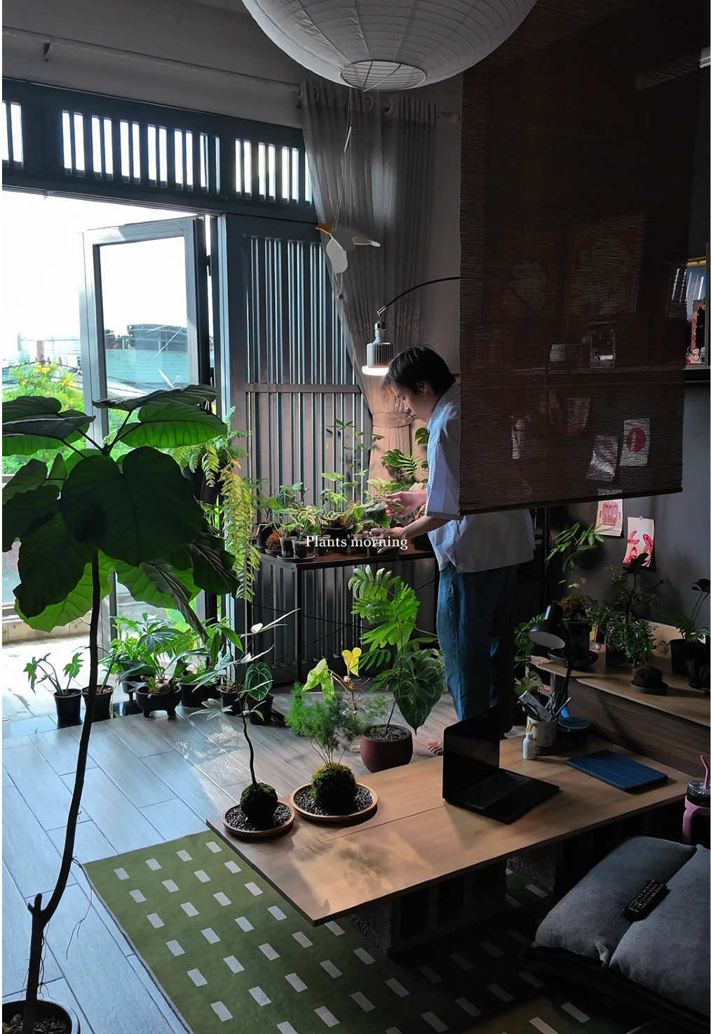 @Bảo tàng lá