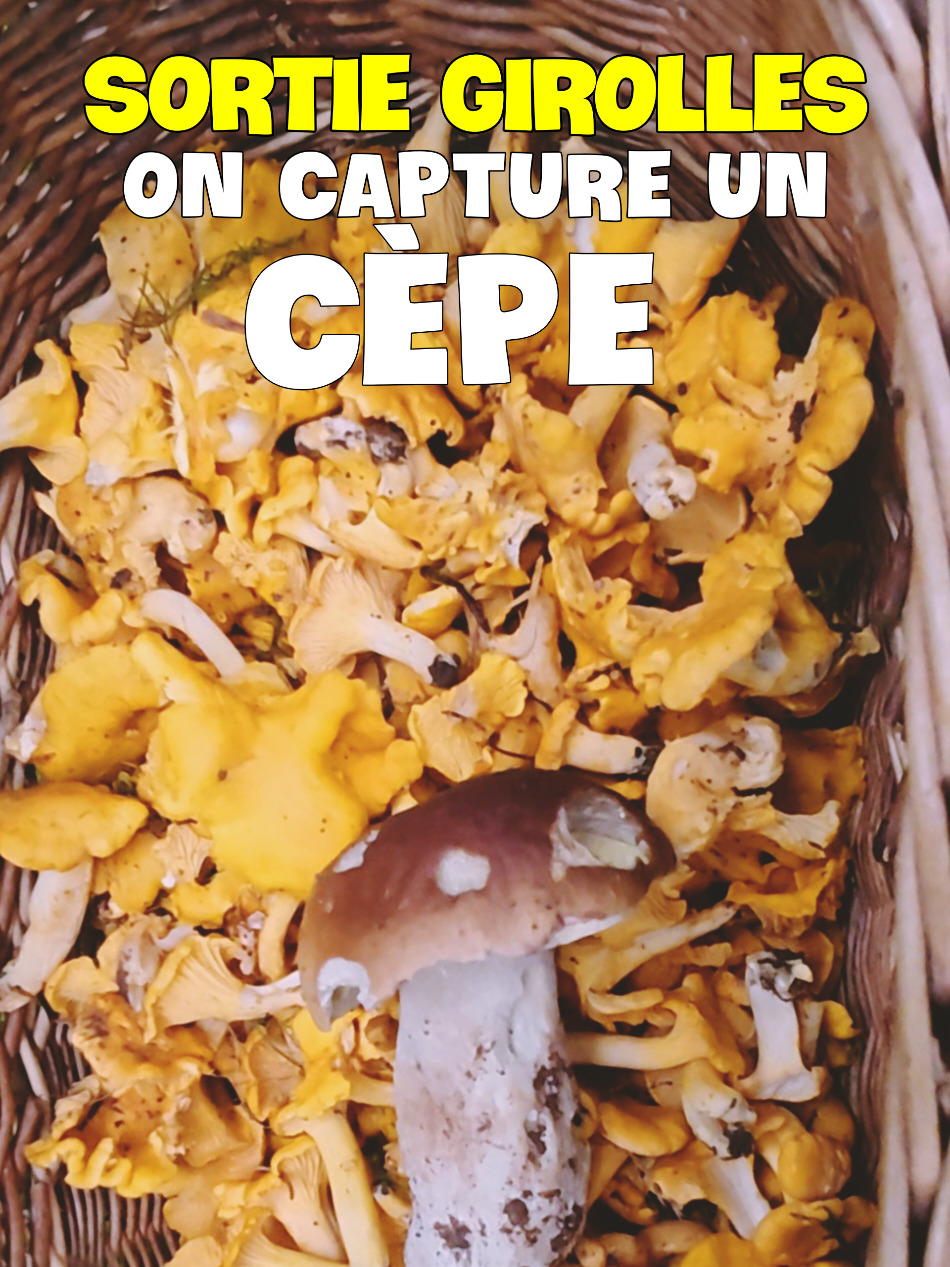 @Dan 🍄&zwj;🟫 Le Champologue