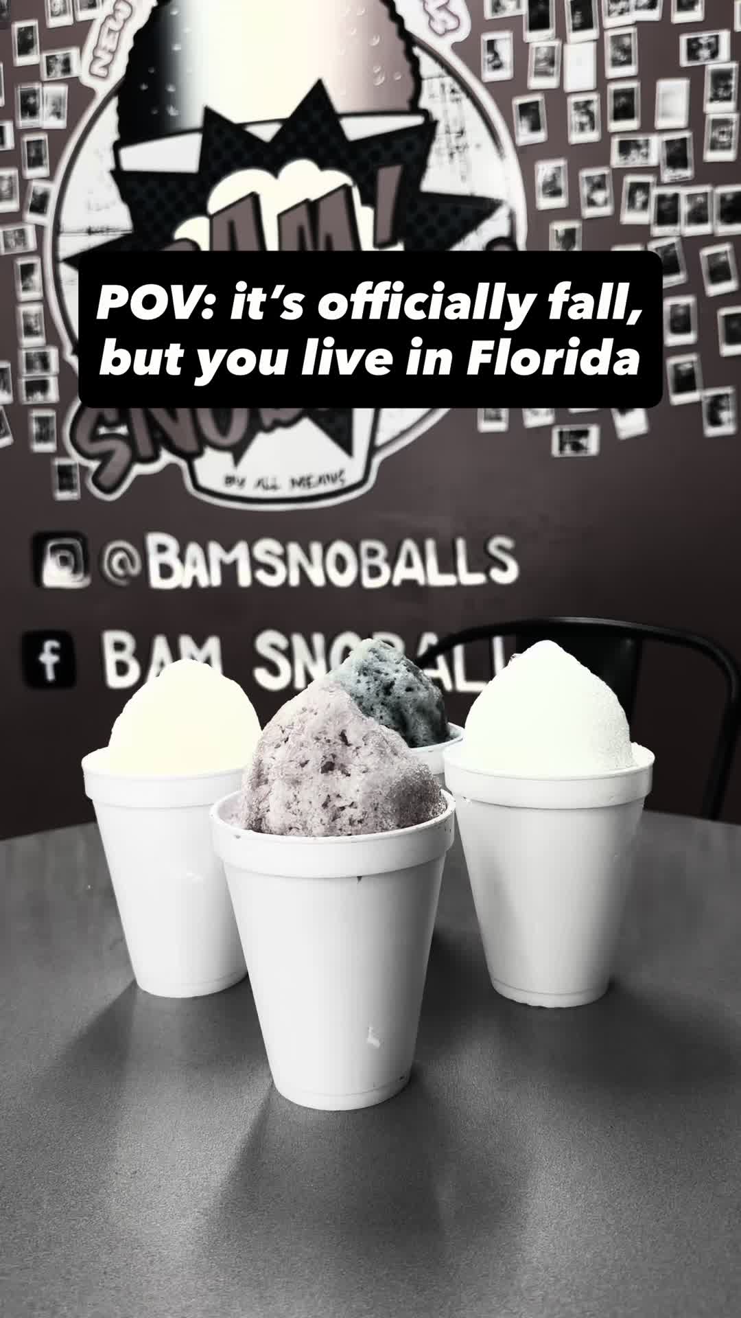 @BAM SNOBALLS