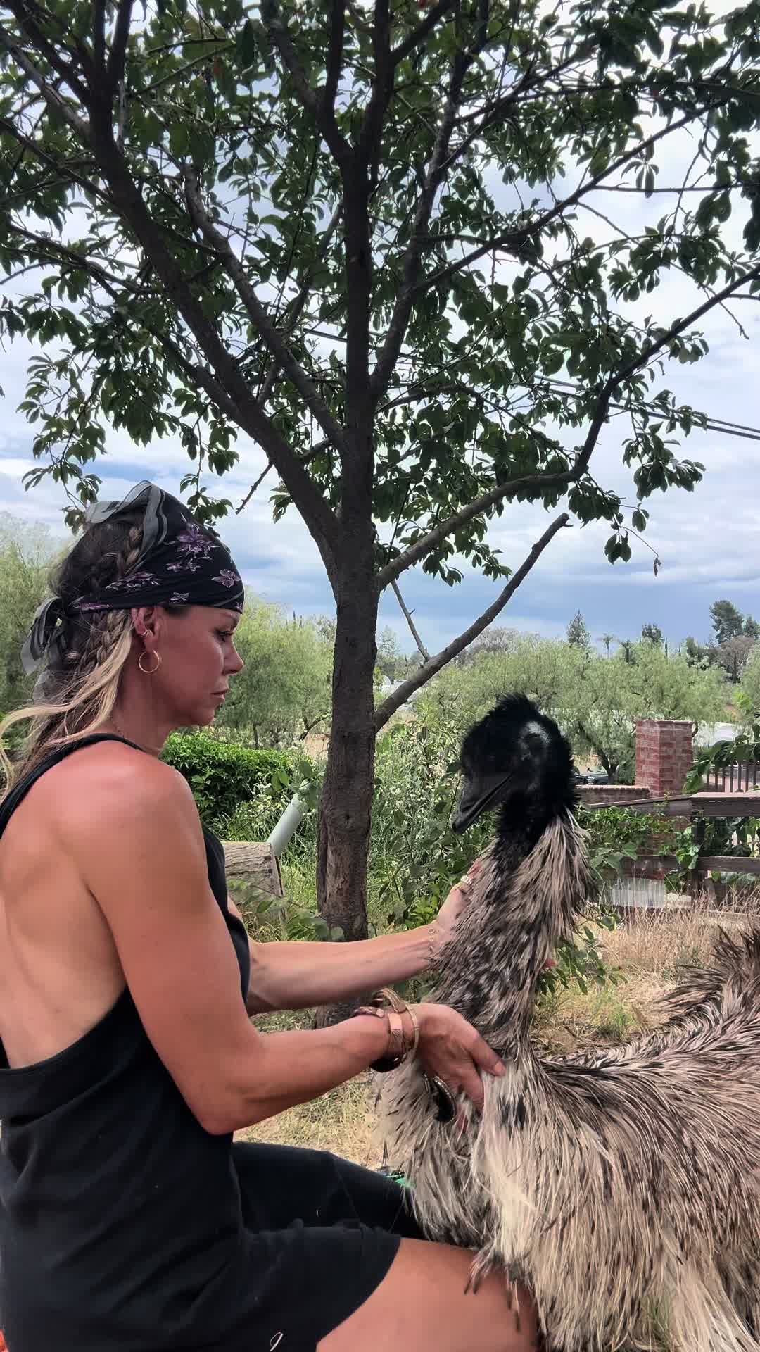@staseasranch
