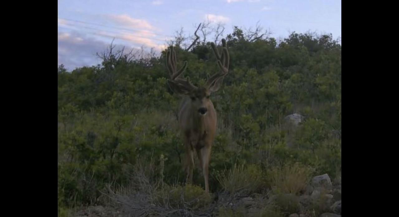 @Nielsen Brothers Outdoors