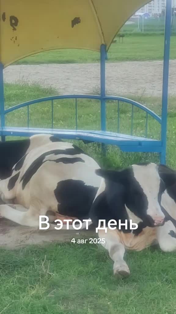 @Olga