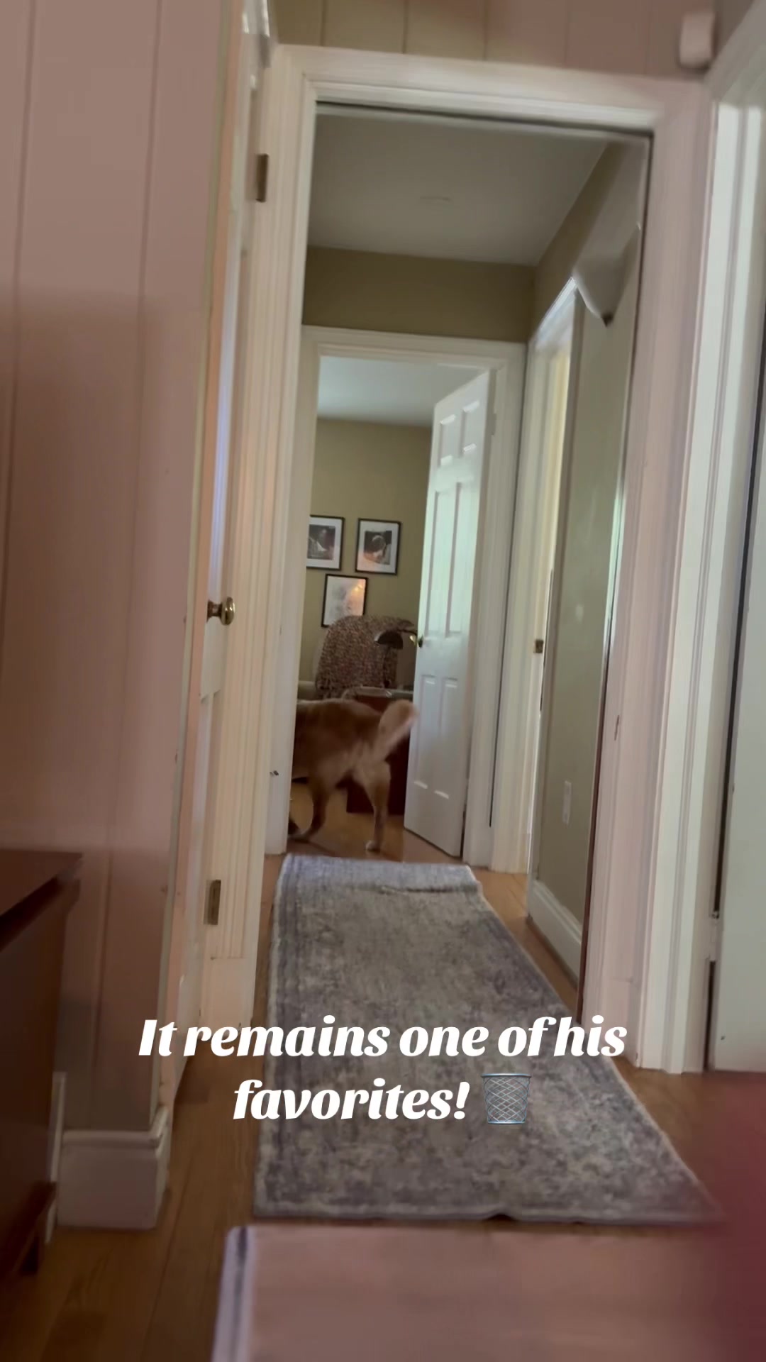 @lifewithduke2025