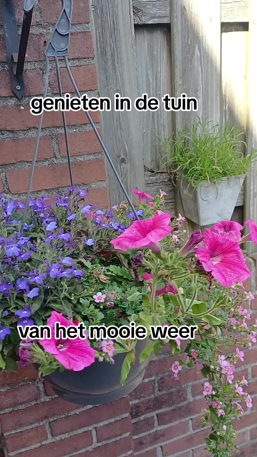 @sonja