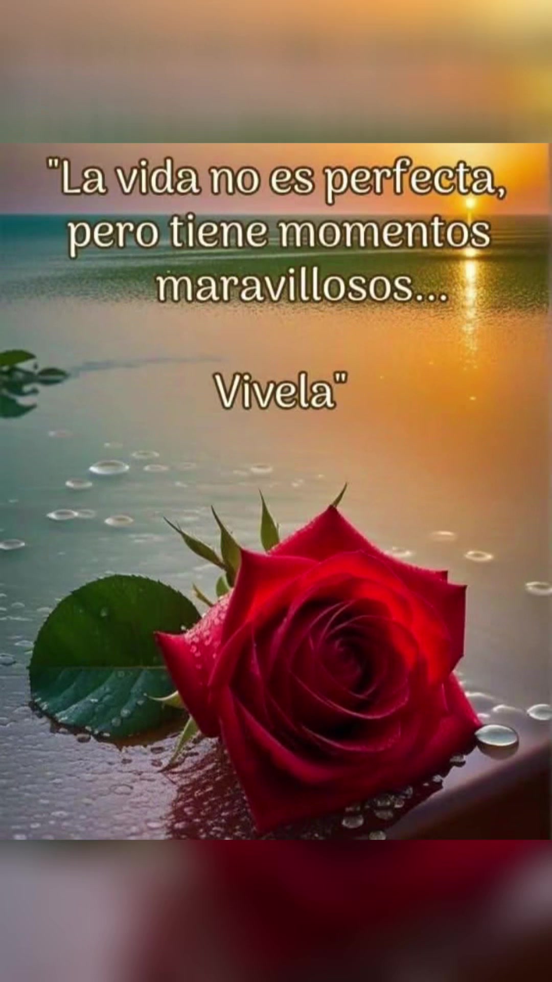 @elvirasvg