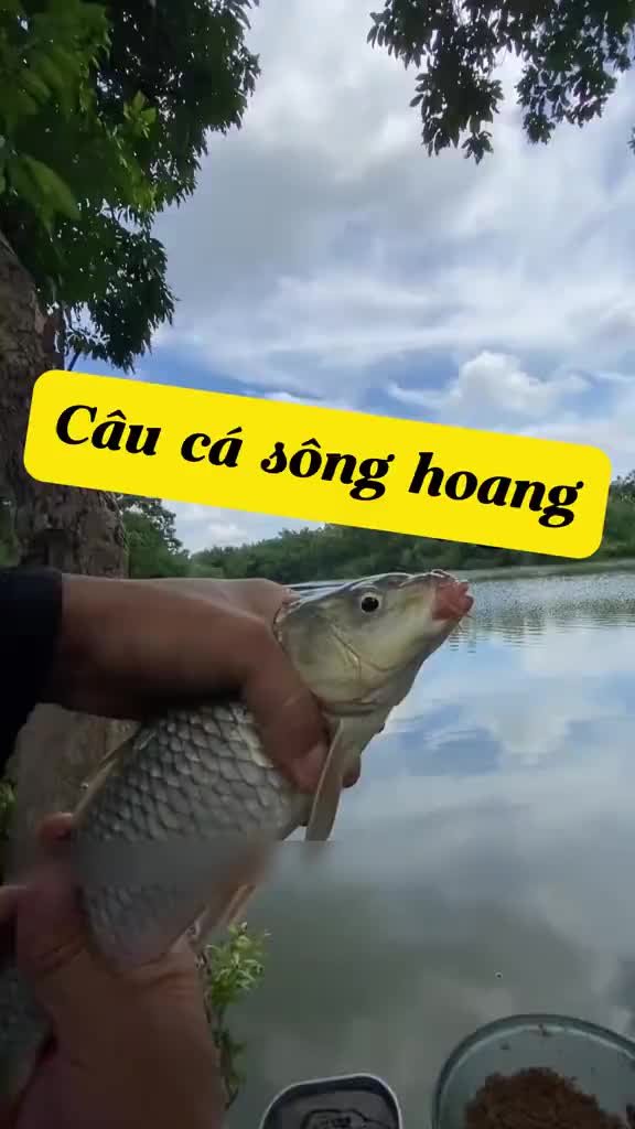 @Dương Anh 22