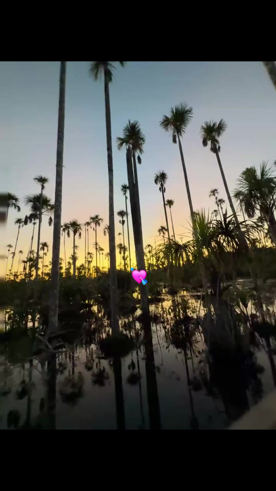 @𝕸𝖎_𝖒𝖎🌸