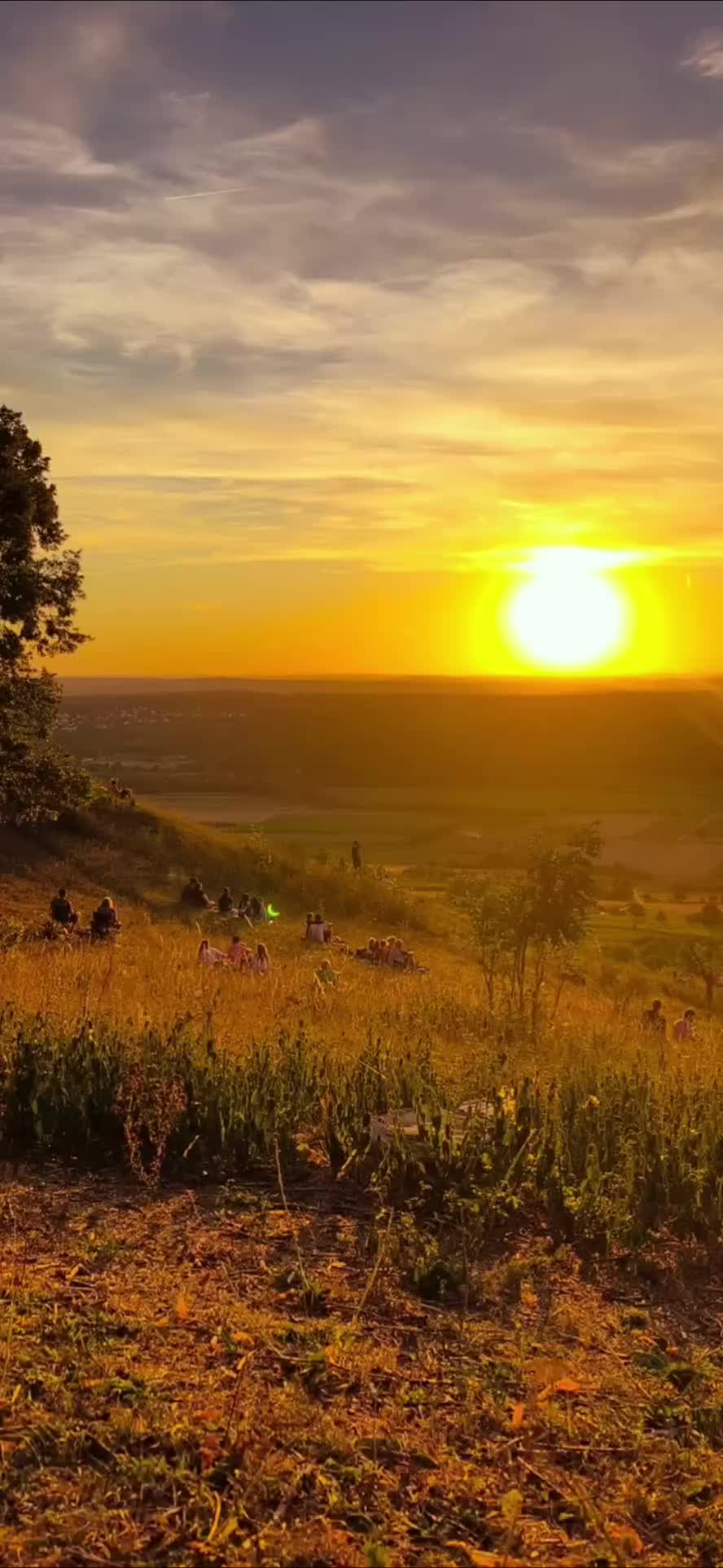 @nature.enjoyerᛉ