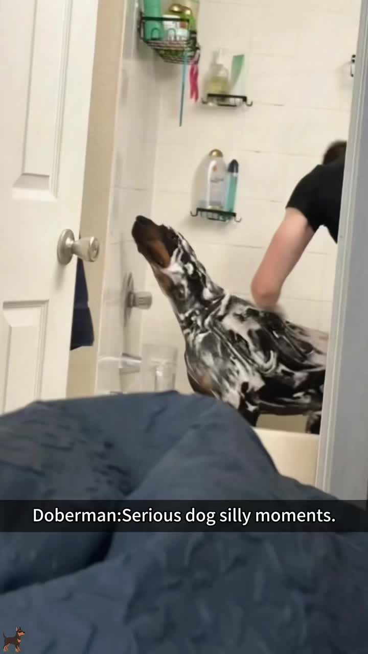 @SneakyFails
