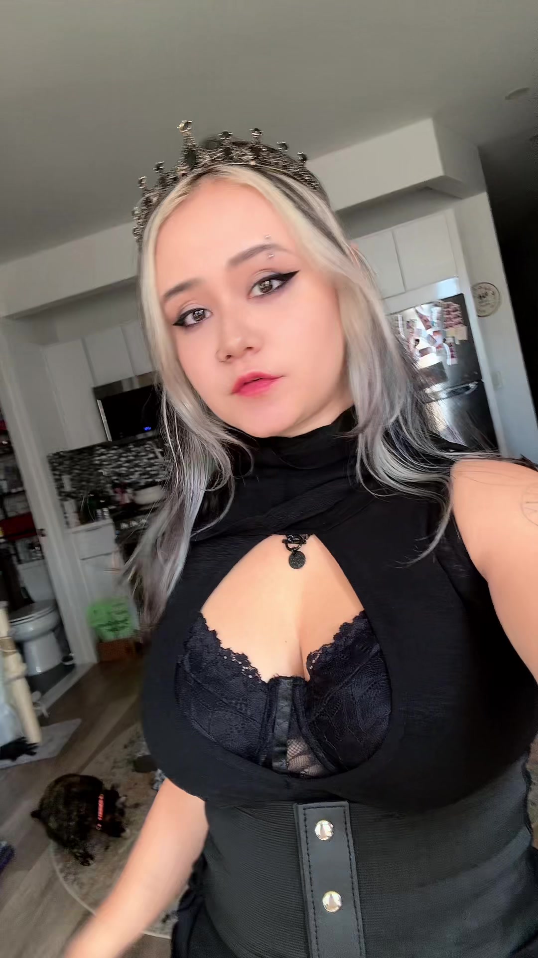 @BassKittenTV 😈