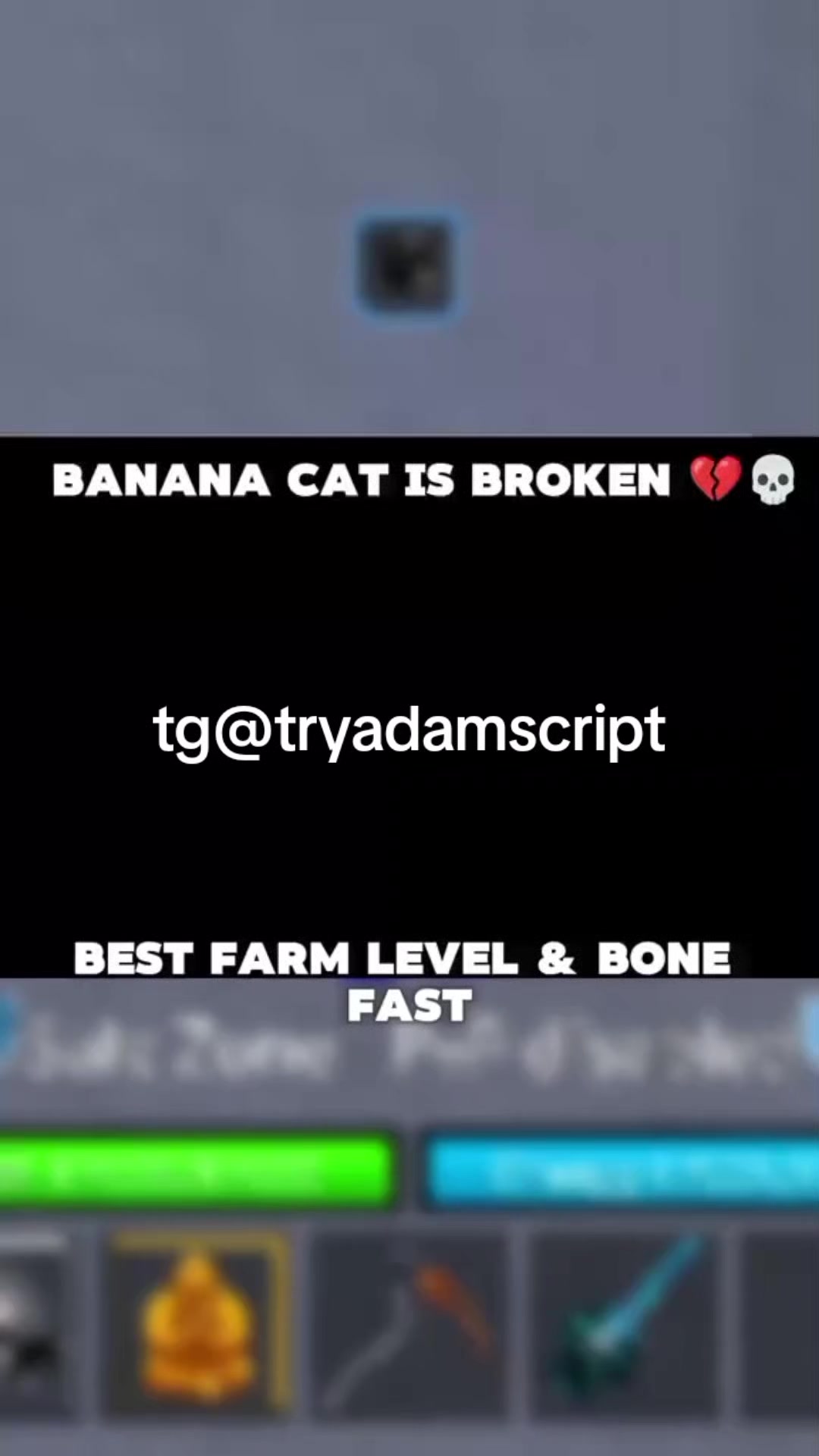@try_adam_script