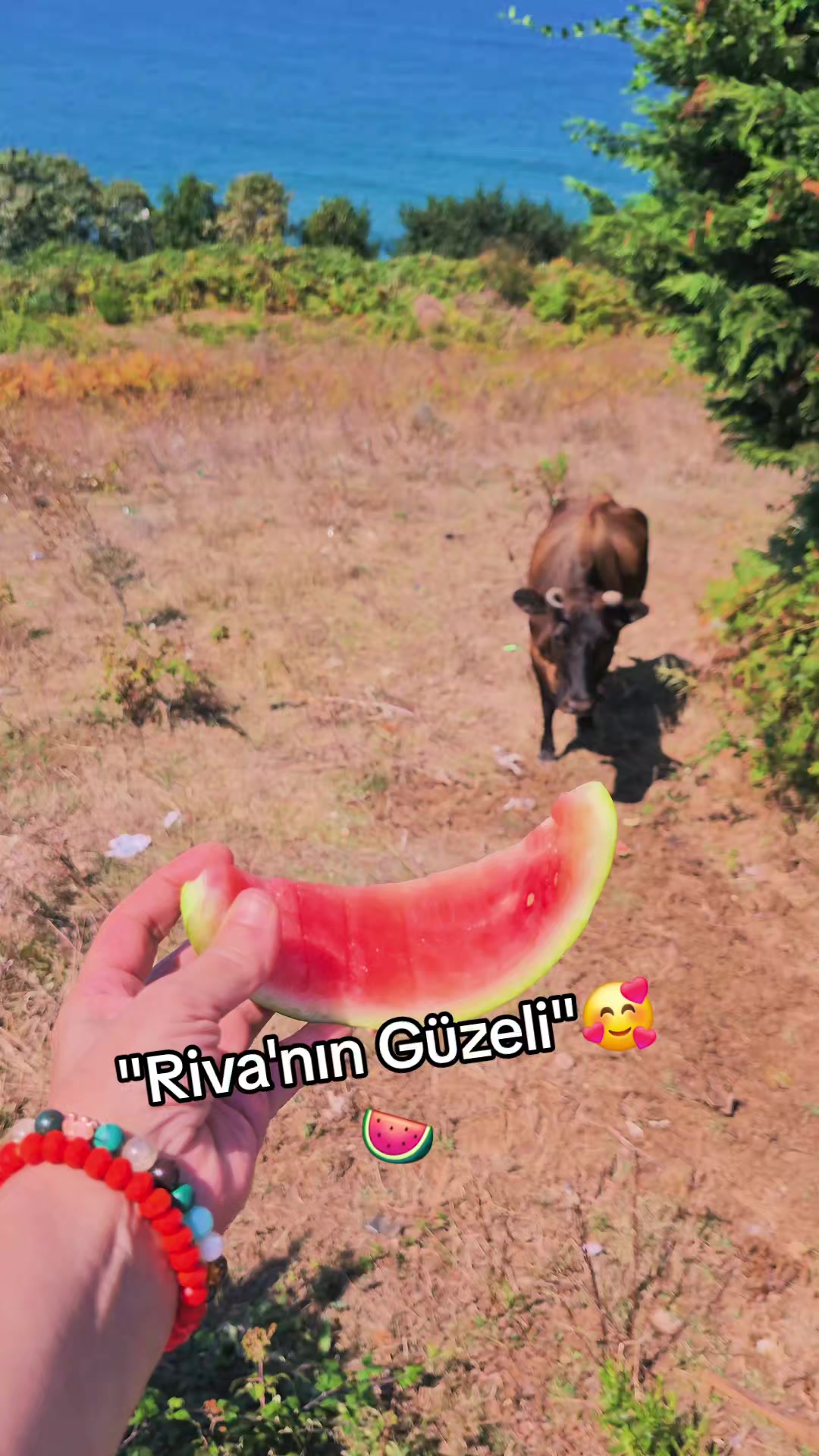@Ɓeysu Ɓaşkan✌️📿