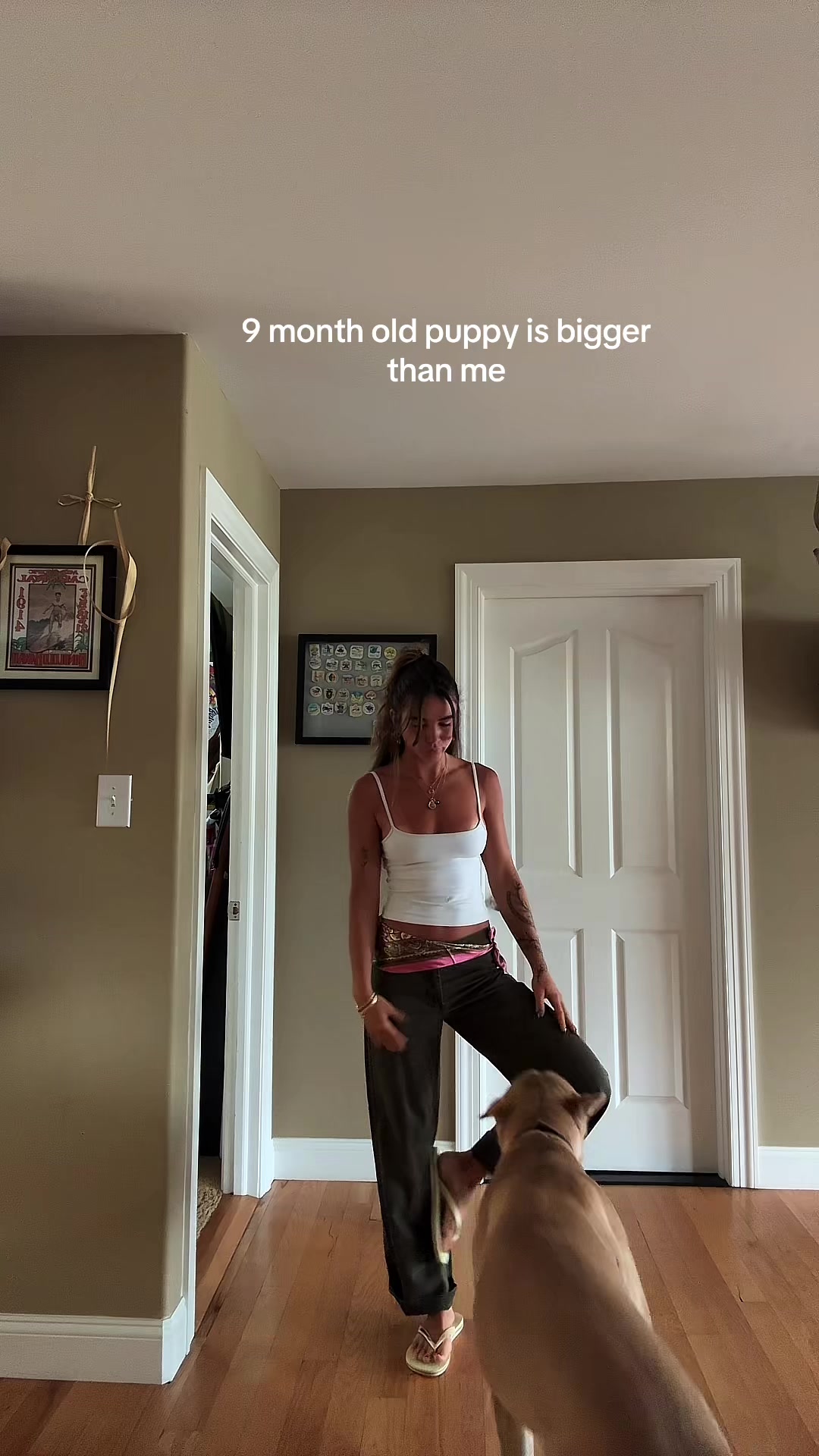 @ainsbuu