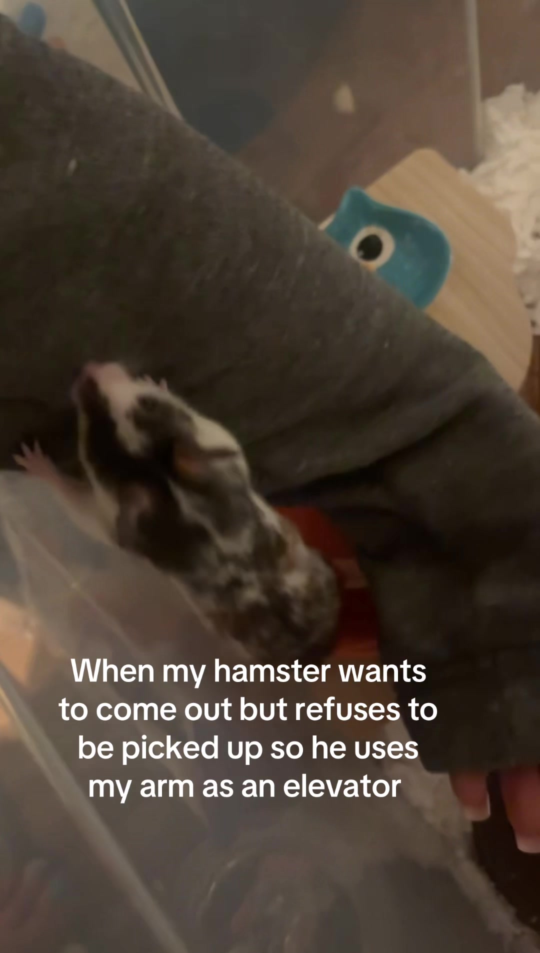 @lil