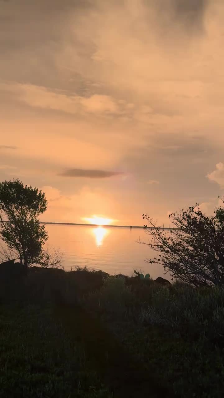 @PEJE-SAURIO69