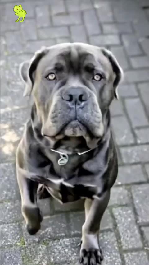 @TobiundBenno