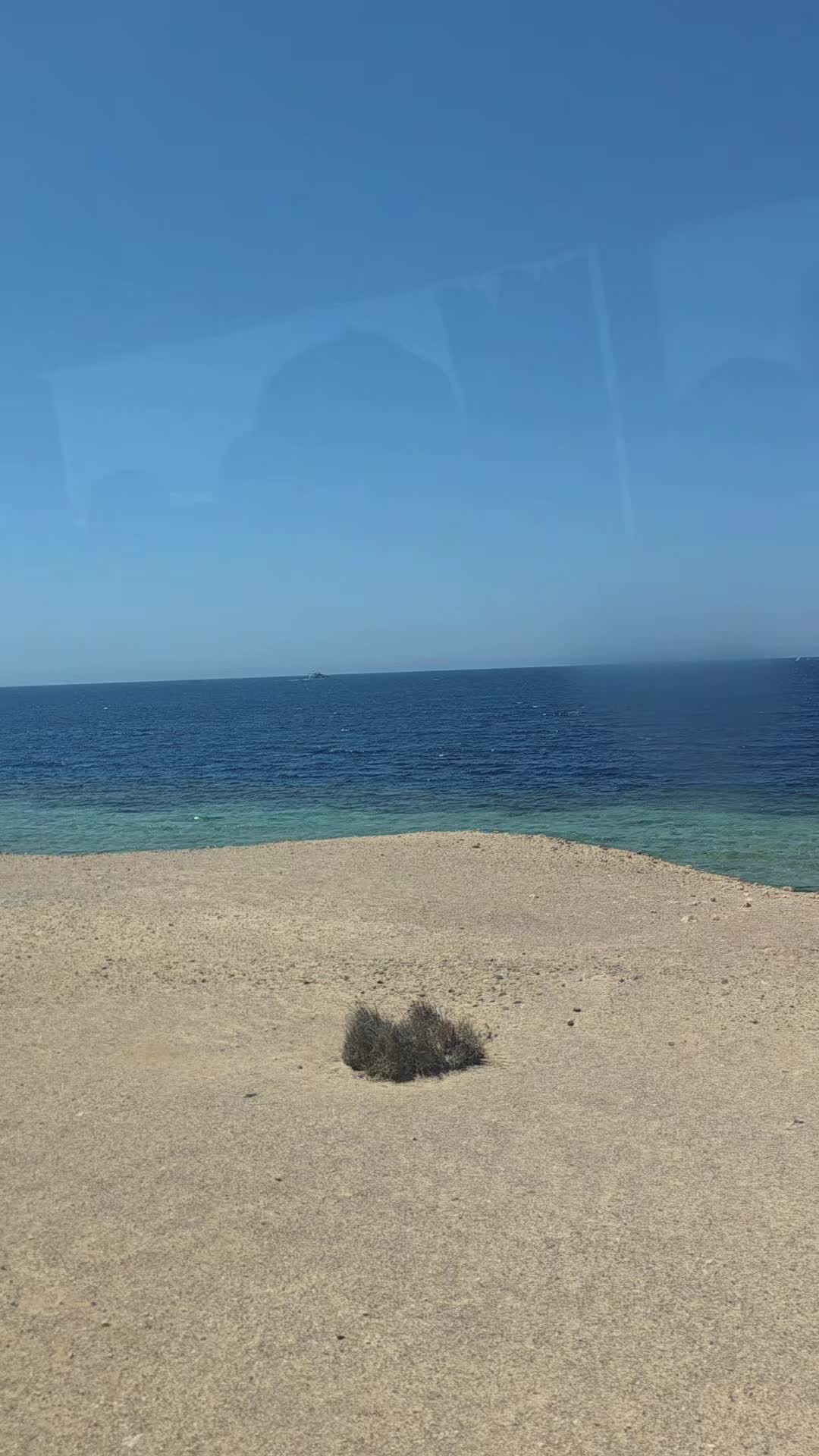 @𝑺𝒐𝒇𝒉𝒊𝒂