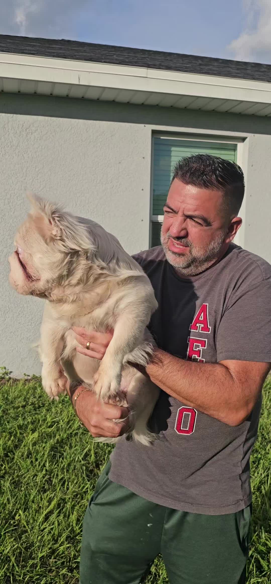 @Tommy_Yari_Frenchie