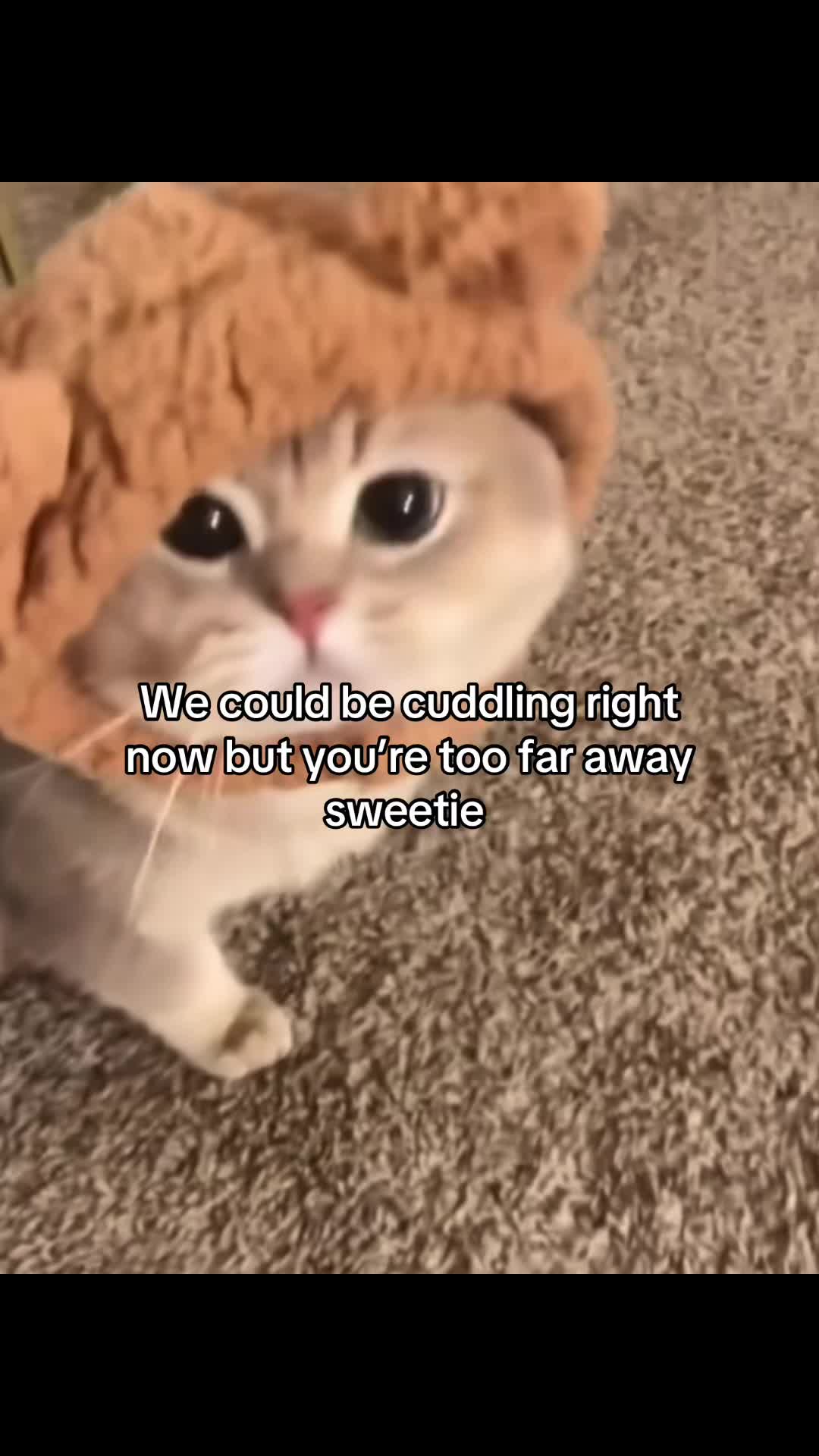 @Molly