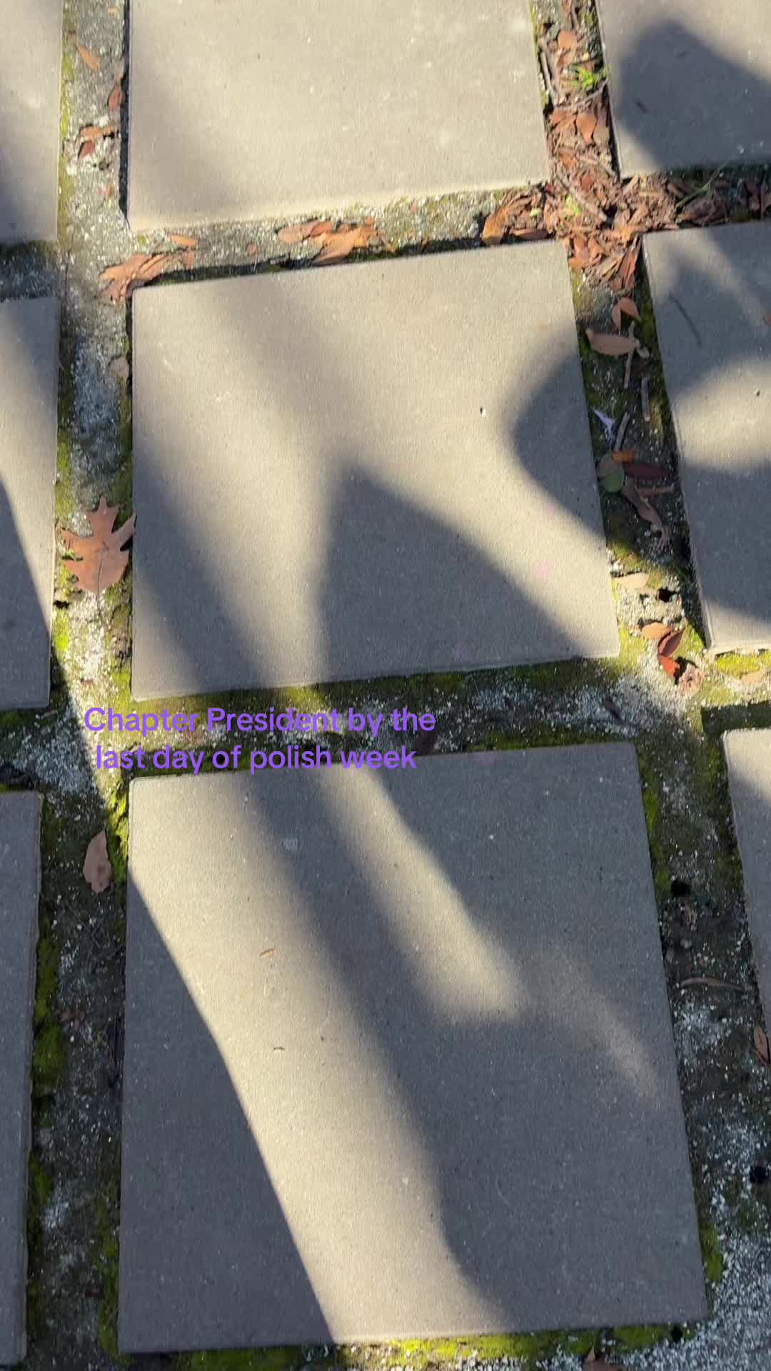 @adpichicostate