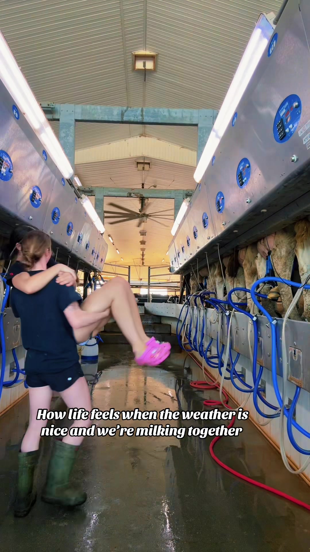 @519farmgirls
