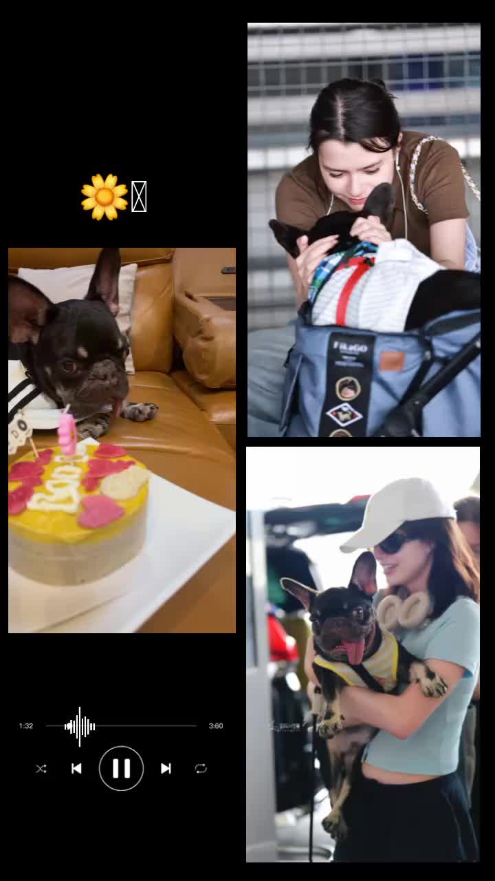 @Ayu Lastari