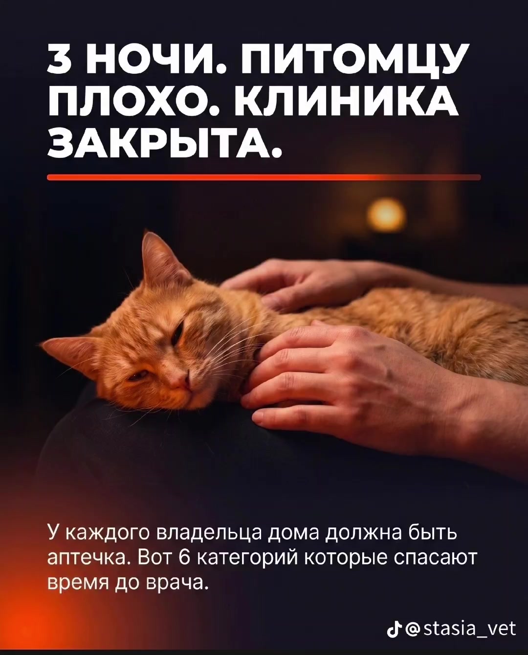 @slavrus_vet