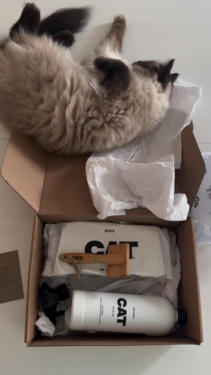 @CAT by Dr Lisa