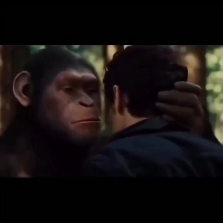 @Gaming Memeology
