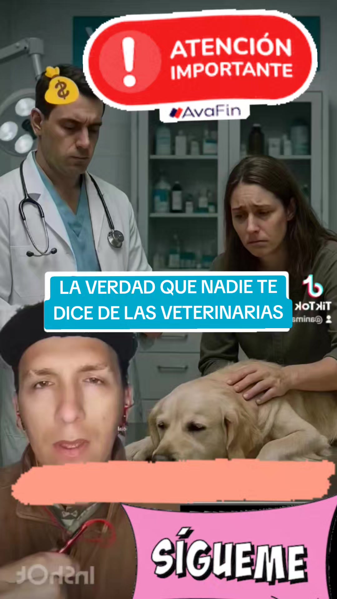 @Animal Veritas